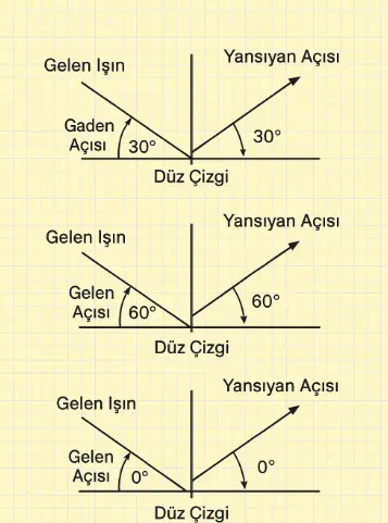 6. Sınıf Fen Bilimleri Ders Kitabı Sayfa 147 Cevapları