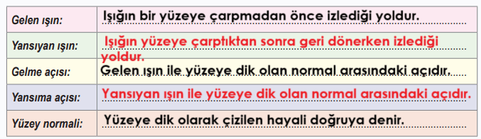 6. Sınıf Fen Bilimleri Ders Kitabı Sayfa 146-147-148-150-151. Cevapları 1. Kitap 13 6. Sınıf Fen Bilimleri Ders Kitabı Sayfa 148 Cevapları