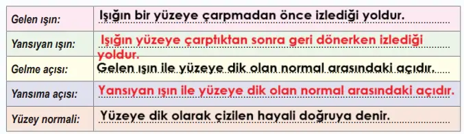 6. Sınıf Fen Bilimleri Ders Kitabı Sayfa 148 Cevapları