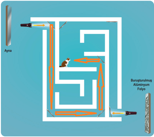 6. Sınıf Fen Bilimleri Ders Kitabı Sayfa 146-147-148-150-151. Cevapları 1. Kitap 16 6. Sınıf Fen Bilimleri Ders Kitabı Sayfa 151 Cevapları Birinci Kitap