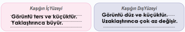 6. Sınıf Fen Bilimleri Ders Kitabı Sayfa 153-154-155-156-159-160-161. Cevapları 1. Kitap 3 6. Sınıf Fen Bilimleri Ders Kitabı Sayfa 154 Cevapları