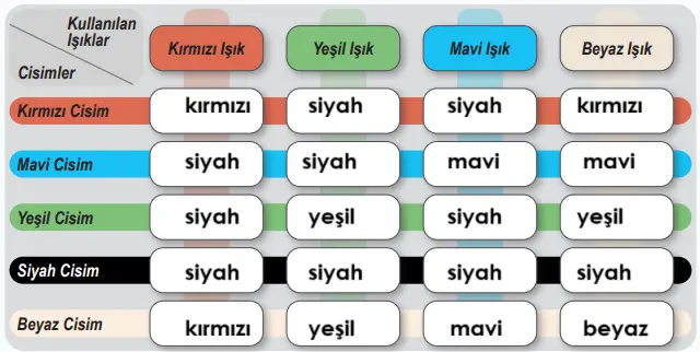 6. Sınıf Fen Bilimleri Ders Kitabı Sayfa 167-168-169-170-171. Cevapları 1. Kitap 4 6. Sınıf Fen Bilimleri Ders Kitabı Sayfa 171 Cevapları