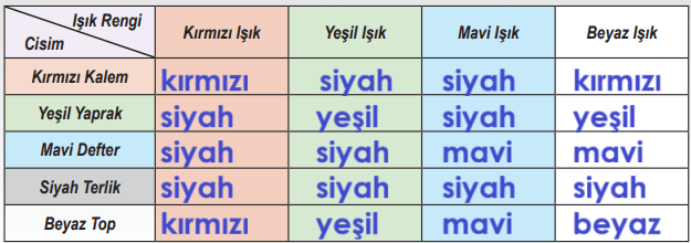 6. Sınıf Fen Bilimleri Ders Kitabı Sayfa 173-174-175-177. Cevapları 1. Kitap 3 6. Sınıf Fen Bilimleri Ders Kitabı Sayfa 174 Cevapları