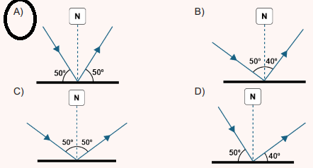 6. Sınıf Fen Bilimleri Ders Kitabı Sayfa 180 Cevapları