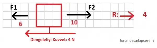 6. Sınıf Fen Bilimleri Ders Kitabı Sayfa 60 Cevapları