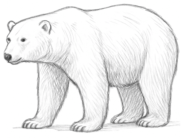 6. Sınıf Türkçe Ders Kitabı Sayfa 158-159-160-161-162-163. Cevapları 1. Kitap