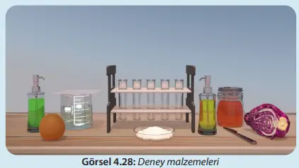 8. Sınıf Fen Bilimleri Ders Kitabı Sayfa 132 Cevapları MEB Yayınları