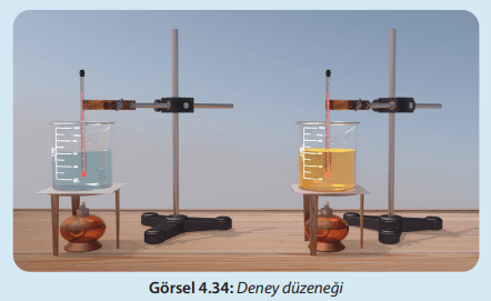 8. Sınıf Fen Bilimleri Ders Kitabı Sayfa 140-141-142-143-144-145. Cevapları MEB Yayınları