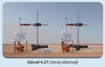 8. Sınıf Fen Bilimleri Ders Kitabı Sayfa 140-141-142-143-144-145. Cevapları MEB Yayınları 6 8. Sınıf Fen Bilimleri Ders Kitabı Sayfa 145 Cevapları MEB Yayınları