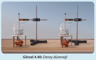 8. Sınıf Fen Bilimleri Ders Kitabı Sayfa 148-149 Cevapları MEB Yayınları