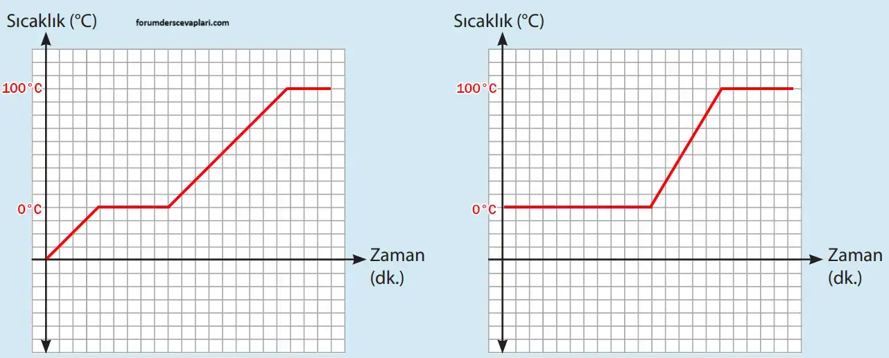 8. Sınıf Fen Bilimleri Ders Kitabı Sayfa 148-149 Cevapları MEB Yayınları1