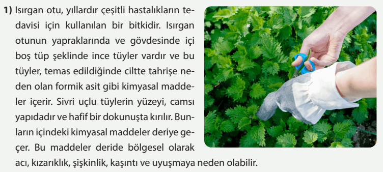 8. Sınıf Fen Bilimleri Ders Kitabı Sayfa 162-163-164-165-166-167. Cevapları MEB Yayınları 2 8. Sınıf Fen Bilimleri Ders Kitabı Sayfa 163 Cevapları MEB Yayınları