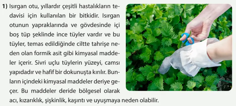 8. Sınıf Fen Bilimleri Ders Kitabı Sayfa 163 Cevapları MEB Yayınları 8. Sınıf Fen Bilimleri Ders Kitabı Sayfa 163 Cevapları MEB Yayınları