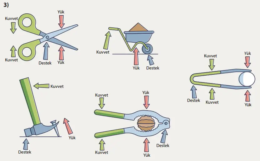 8. Sınıf Fen Bilimleri Ders Kitabı Sayfa 184 Cevapları MEB Yayınları