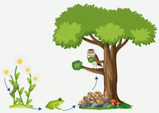 8. Sınıf Fen Bilimleri Ders Kitabı Sayfa 198 Cevapları MEB Yayınları