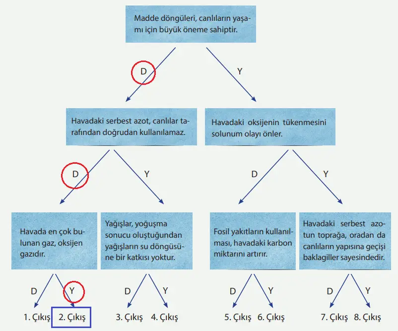8. Sınıf Fen Bilimleri Ders Kitabı Sayfa 218 Cevapları MEB Yayınları 8. Sınıf Fen Bilimleri Ders Kitabı Sayfa 218 Cevapları MEB Yayınları