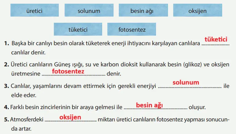 8. Sınıf Fen Bilimleri Ders Kitabı Sayfa 227 Cevapları MEB Yayınları1