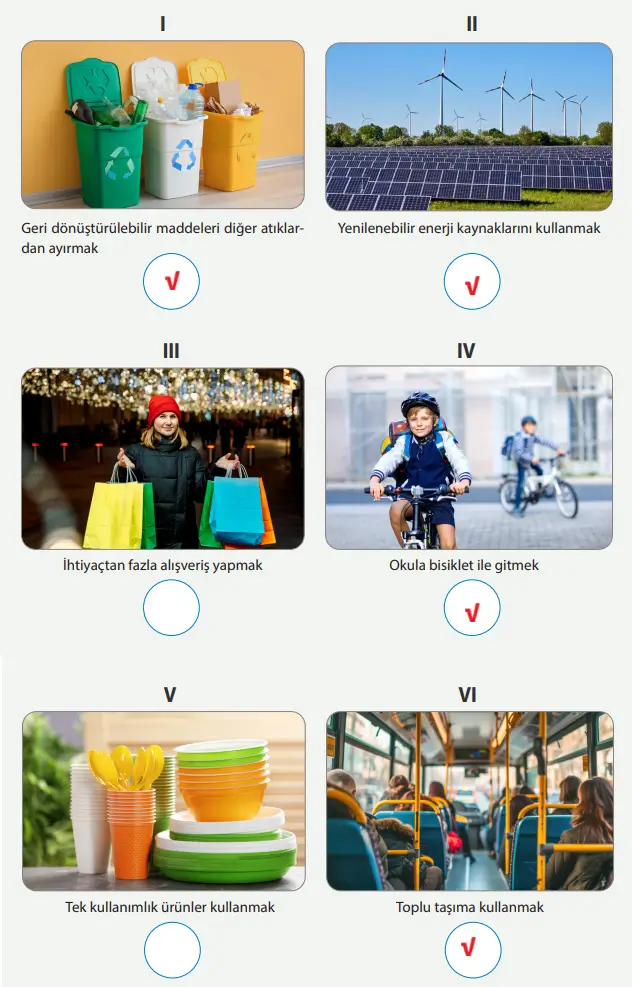8. Sınıf Fen Bilimleri Ders Kitabı Sayfa 230 Cevapları MEB Yayınları