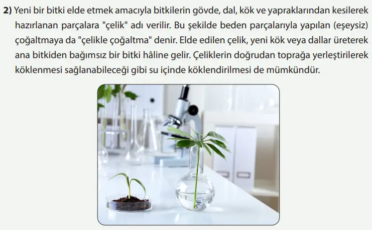 8. Sınıf Fen Bilimleri Ders Kitabı Sayfa 231 Cevapları MEB Yayınları