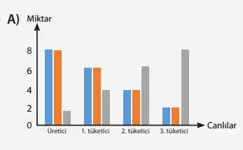 8. Sınıf Fen Bilimleri Ders Kitabı Sayfa 232 Cevapları MEB Yayınları1