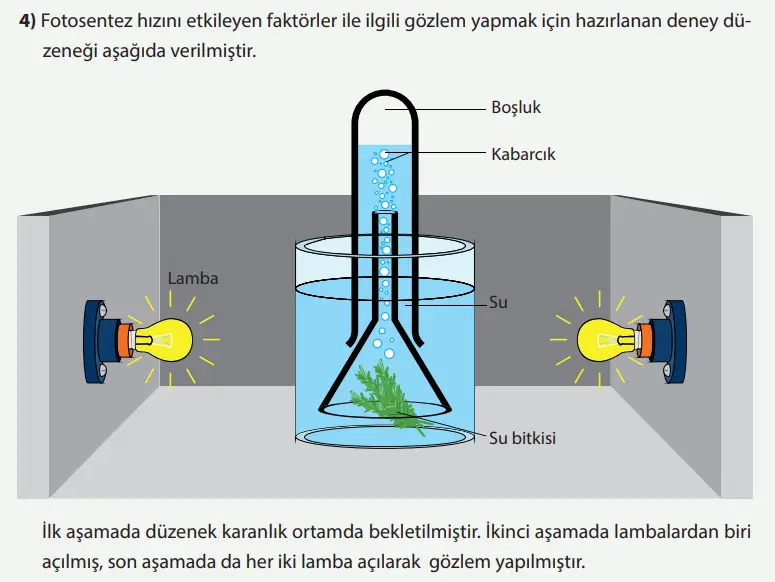 8. Sınıf Fen Bilimleri Ders Kitabı Sayfa 233 Cevapları MEB Yayınları