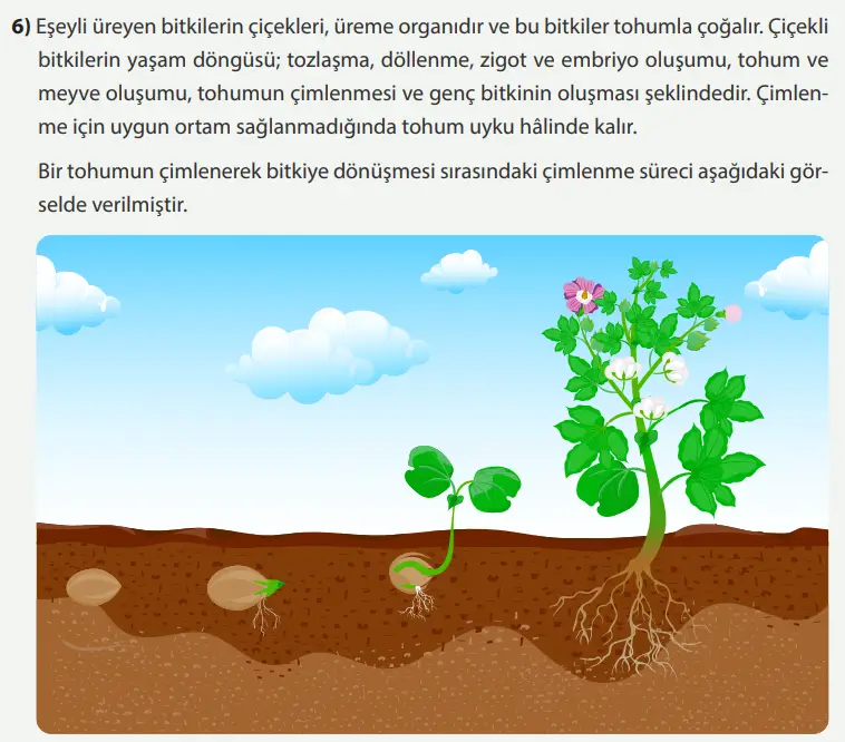 8. Sınıf Fen Bilimleri Ders Kitabı Sayfa 235 Cevapları MEB Yayınları