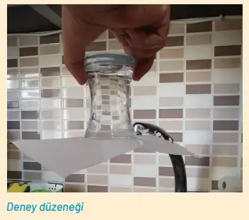 8. Sınıf Fen Bilimleri Ders Kitabı Sayfa 113-115-116. Cevapları Hecce Yayıncılık