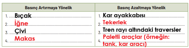 8. Sınıf Fen Bilimleri Ders Kitabı Sayfa 116 Cevapları Hecce Yayıncılık