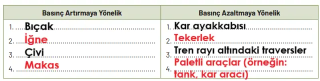 8. Sınıf Fen Bilimleri Ders Kitabı Sayfa 116 Cevapları Hecce Yayıncılık