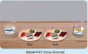 8. Sınıf Fen Bilimleri Ders Kitabı Sayfa 133-135-136-138-139. Cevapları MEB Yayınları 2 8. Sınıf Fen Bilimleri Ders Kitabı Sayfa 135 Cevapları