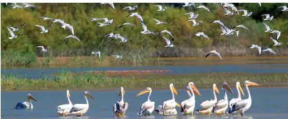 8. Sınıf Matematik Ders Kitabı Sayfa 140-147. Cevapları Sonuç Yayınları 1 8. Sınıf Matematik Ders Kitabı Sayfa 140. Cevapları