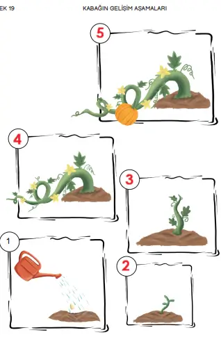 Kabak Çekirdeği Nasıl Kabak Oldu?