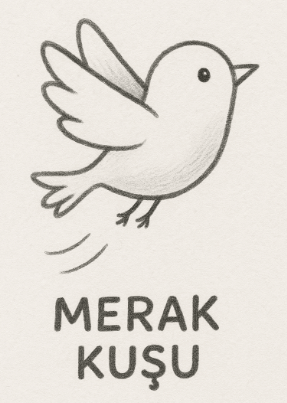 4. Sınıf Türkçe Ders Kitabı Sayfa 28-30-31-32-33-34-35 Cevapları MEB Yayınları