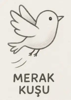 4. Sınıf Türkçe Ders Kitabı Sayfa 28-30-31-32-33-34-35 Cevapları MEB Yayınları