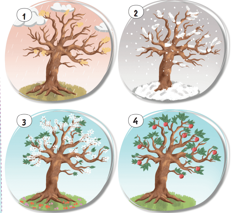 2. Sınıf Hayat Bilgisi Ders Kitabı Sayfa 52 Cevapları İkinci Kitap