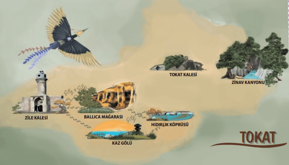 2. Sınıf Hayat Bilgisi Ders Kitabı Sayfa 14 Cevapları