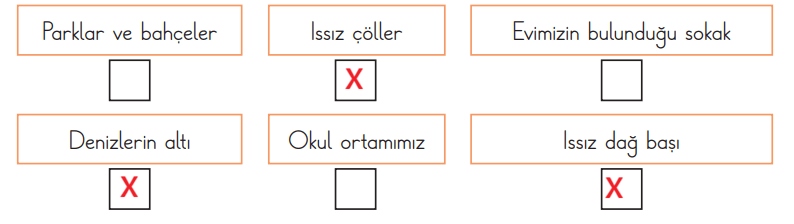 3. Sınıf Fen Bilimleri Ders Kitabı Sayfa 195 Cevapları CEM Yayınları