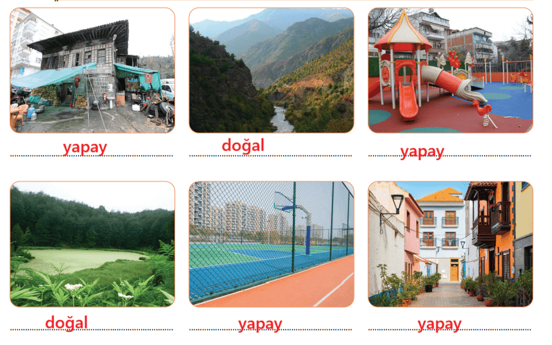 3. Sınıf Fen Bilimleri Ders Kitabı Sayfa 208 Cevapları CEM Yayınları 3. Sınıf Fen Bilimleri Ders Kitabı Sayfa 208 Cevapları CEM Yayınları