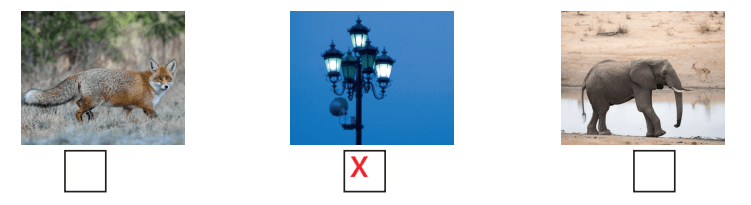 3. Sınıf Fen Bilimleri Ders Kitabı Sayfa 212 Cevapları CEM Yayınları