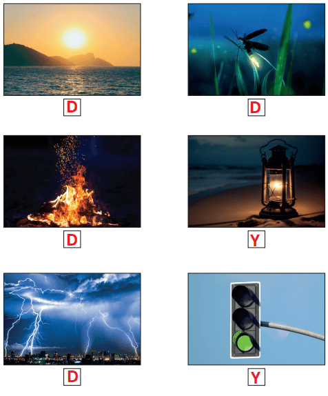 3. Sınıf Fen Bilimleri Ders Kitabı Sayfa 170-171-172-173-174. Cevapları CEM Yayınları 4 3. Sınıf Fen Bilimleri Ders Kitabı Sayfa 173 Cevapları