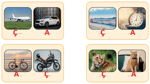 3. Sınıf Fen Bilimleri Ders Kitabı Sayfa 175-176-177-178-179. Cevapları CEM Yayınları