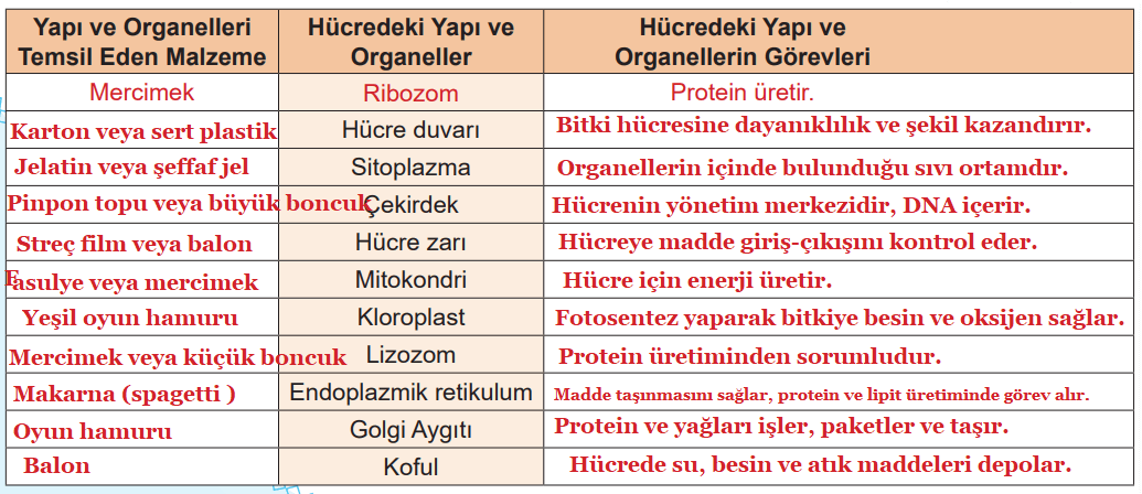3D Model Malzeme Listesi ve Açıklamaları