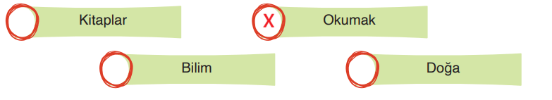 4. Sınıf Türkçe Ders Kitabı Sayfa 192 Cevapları ADA Yayınları