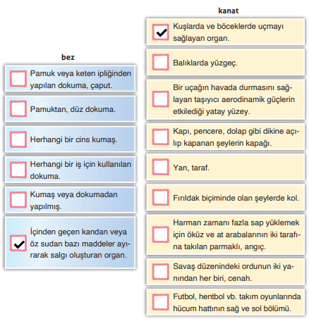 4. Sınıf Türkçe Ders Kitabı Sayfa 173-174-175-176. Cevapları ADA Yayınları 1 4. Sınıf Türkçe Ders Kitabı Sayfa 175 Cevapları