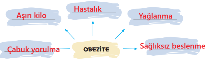5. Sınıf Türkçe Ders Kitabı Sayfa 142 Cevapları İkinci Kitap
