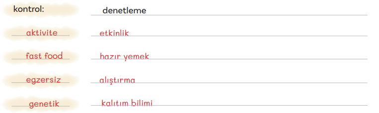 5. Sınıf Türkçe Ders Kitabı Sayfa 143 Cevapları İkinci Kitap