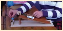 6. Etkinlik Soruları