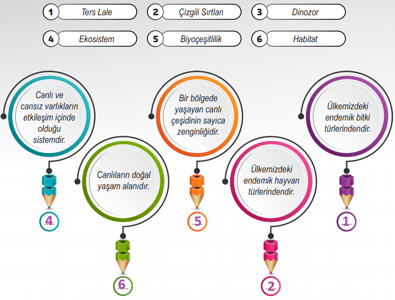 6. Sınıf Fen Bilimleri Ders Kitabı Sayfa 107 Cevapları İkinci Kitap 6. Sınıf Fen Bilimleri Ders Kitabı Sayfa 107 Cevapları İkinci Kitap