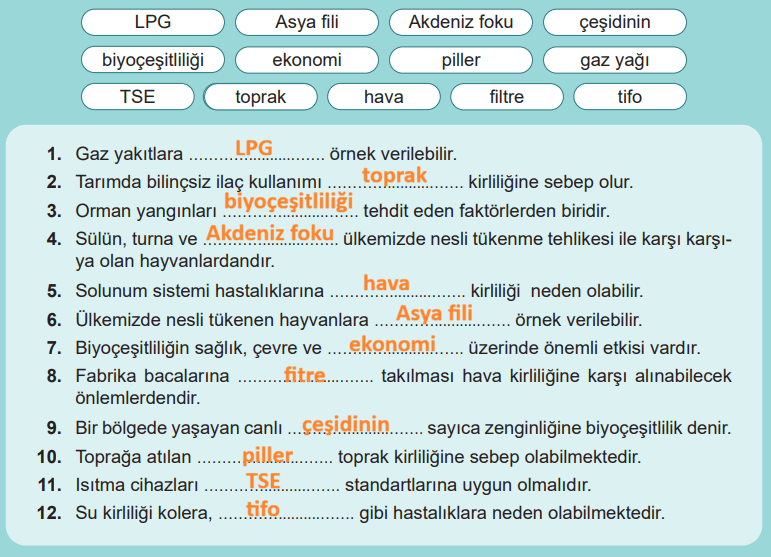 6. Sınıf Fen Bilimleri Ders Kitabı Sayfa 125 Cevapları İkinci Kitap 6. Sınıf Fen Bilimleri Ders Kitabı Sayfa 125 Cevapları İkinci Kitap