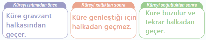 6. Sınıf Fen Bilimleri Ders Kitabı Sayfa 22 Cevapları